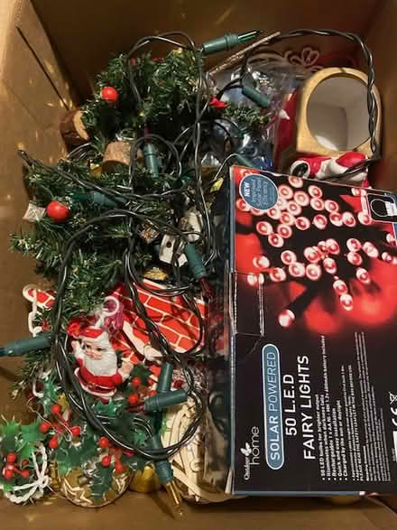 Photo of free Christmas decorations (Kendal LA9) #1