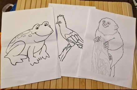 Photo of free Children's activity sheets (Barton/Headington, OX3) #3