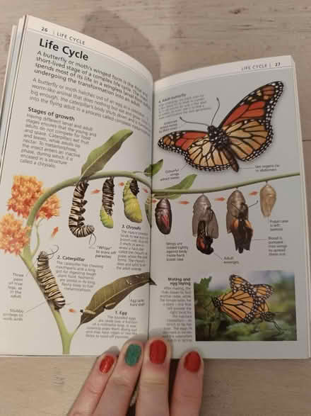 Photo of free Books for identifying things (Barming ME16 9) #4