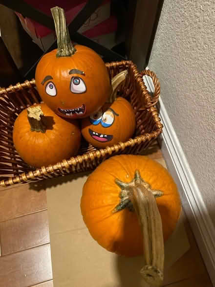 Photo of free 4 pumpkins from Halloween (Lawrence Expy and Hwy 280) #1