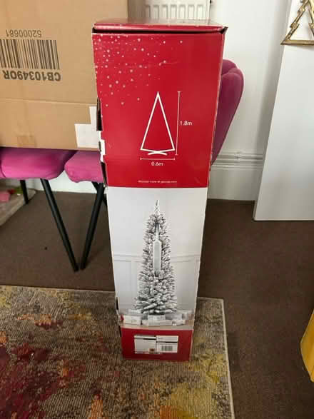 Photo of free Pencil Xmas Tree 180 cm (Brighton, Kemptown) #1