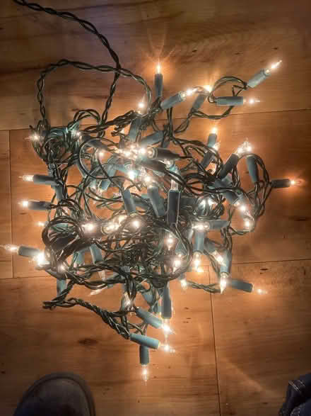 Photo of free Christmas lights (Eastbourne BN21) #1