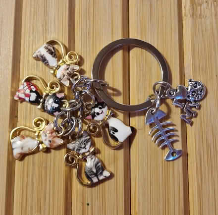 Photo of free Cats keyring (Barton/Headington, OX3) #1