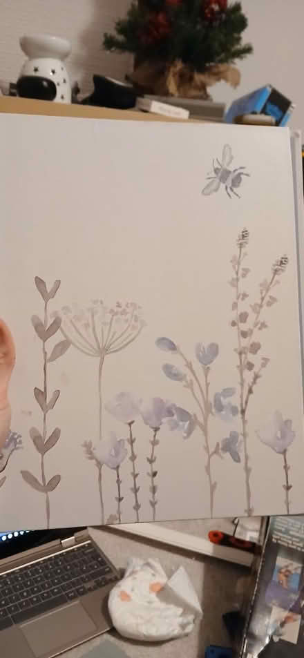 Photo of free 12 A4 binders (BS16) #2