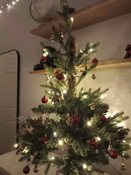 Photo of free Christmas Tree and Decorations (Cuffley EN6) #1