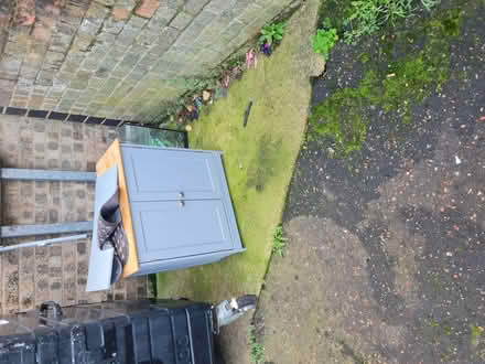 Photo of free Vivarium/glass fish tank? (Mousehold NR3) #1