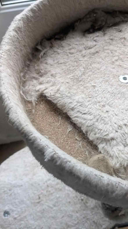 Photo of free Cat tree (CH43) #2