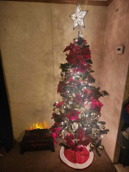 Photo of Family big move, Christmas season (Landover Hills) #1