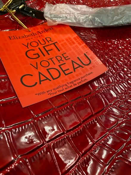 Photo of free Elizabeth Arden Bag (AL4) #2