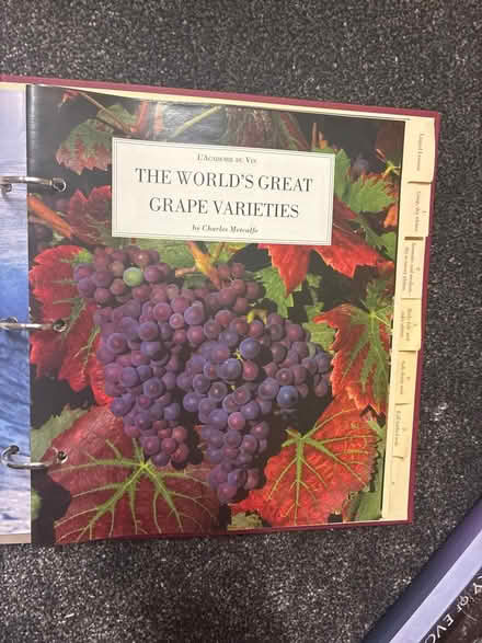Photo of free 4 seasons wine guide (Wenvoe CF5) #3