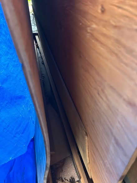 Photo of free Plywood (Carmichael) #2