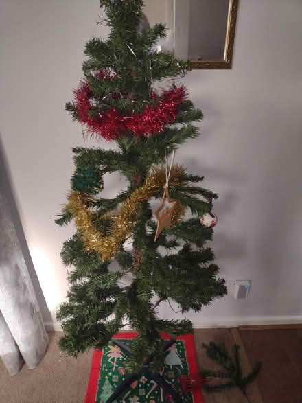Photo of free 5ft Xmas tree 🎄 (Hatfield, Herts AL10) #1