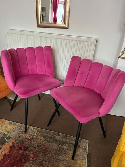 Photo of free Pink Velvet Chairs (Brighton, Kemptown) #1