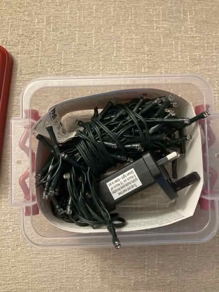 Photo of free Xmas tree lights (Portchester) #2