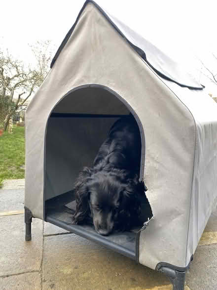 Photo of free Outdoor canvas kennel (Strood, ME2) #3
