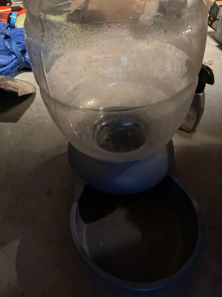 Photo of free Dog water feeder (Spartan keyes) #1