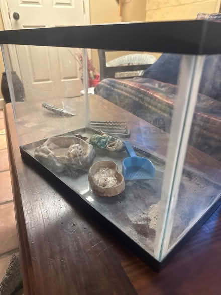 Photo of free Hermit crab set up (Mt Pleasant PA) #1