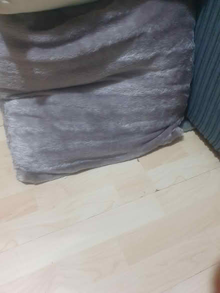 Photo of free Cushions (Bath BA2) #2