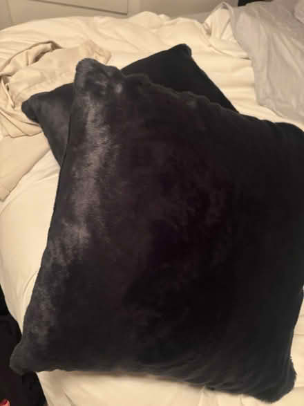 Photo of free Faux fur pillows (M2M 3K1) #1