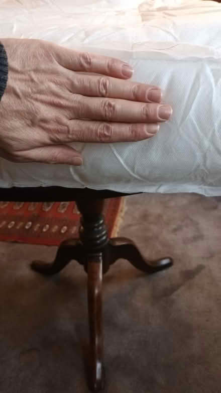 Photo of free Big inner cushion (West Malling) #2