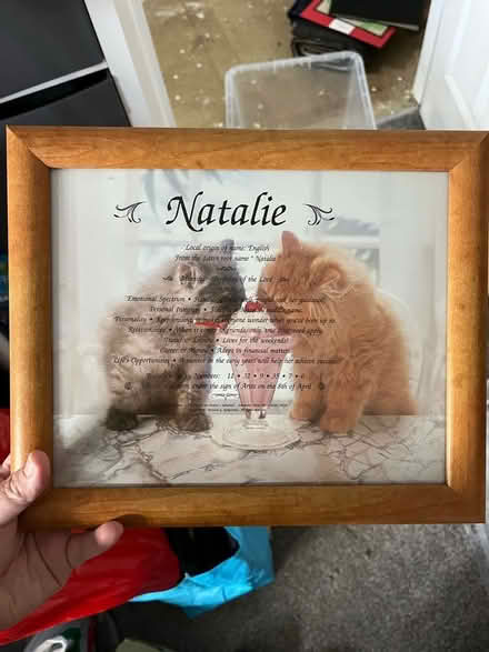 Photo of free Framed Natalie name meaning print (Horton TA19) #1