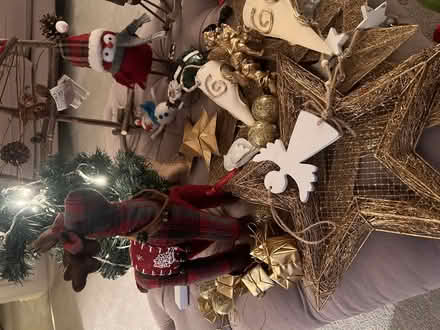 Photo of free Christmas decorations (Swan Green WA16) #1