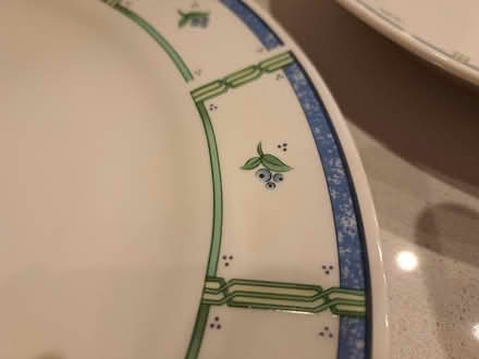 Photo of free 20 pcs Porcelain Dinner Set New (Fishbourne PO19) #3