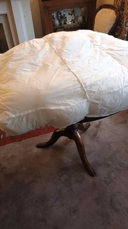 Photo of free Big inner cushion (West Malling) #1