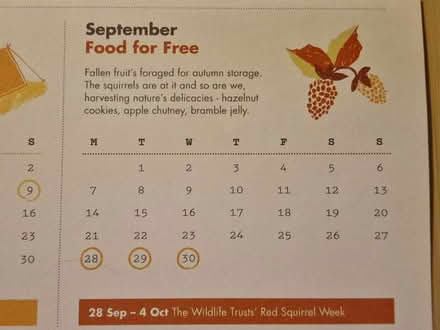 Photo of free RSPB Calendar (Barton/Headington, OX3) #3