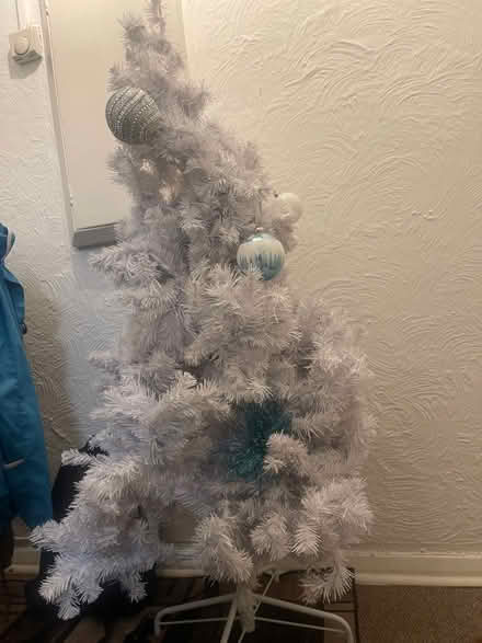 Photo of free Christmas tree (South Ockendon) #2