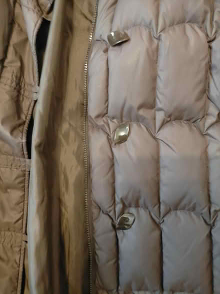 Photo of free Size 12-14 women winter jacket/coat (Stevenage SG1) #3