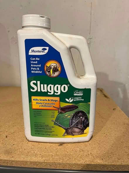 Photo of free Sluggo (West Boylston) #1