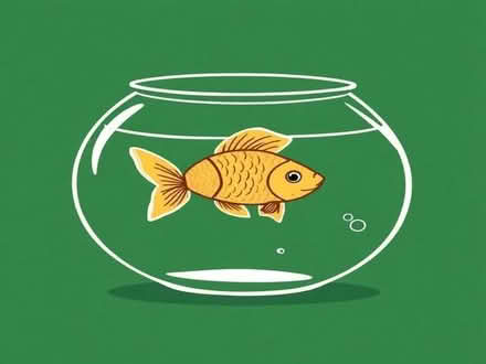 Photo of Goldfish bowl (Windermere LA23) #1