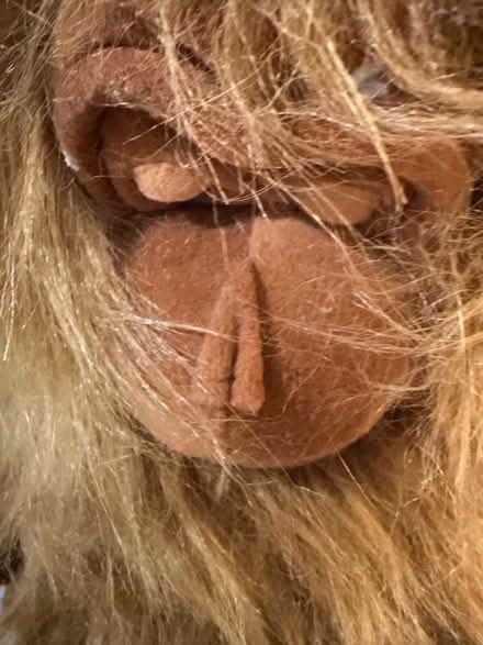 Photo of free Cuddly monkey toy (Westbury Wilts BA13) #3