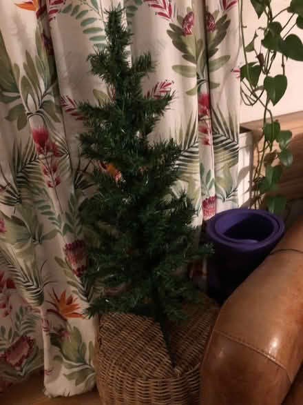 Photo of free Small Christmas tree (Bristol BS5) #4
