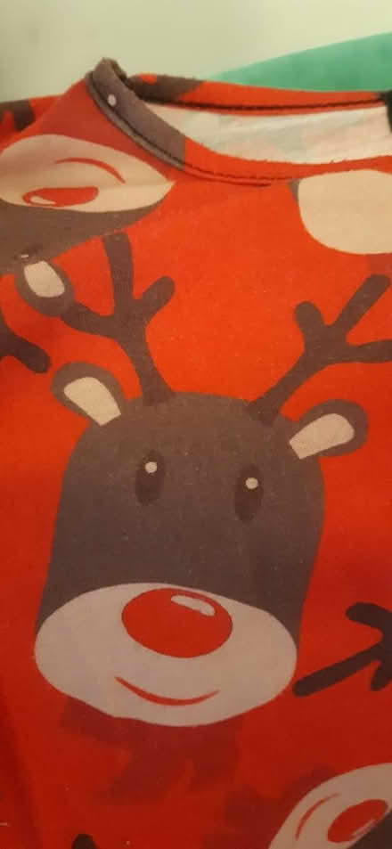 Photo of free Reindeer dress (Aldingbourne PO20) #1