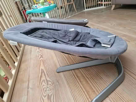 Photo of free 2 Nuna baby seats (Didcot OX11) #3