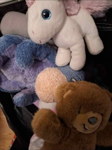 Photo of free Black Bag of Teddies (Sutton-in-Ashfield NG17) #1