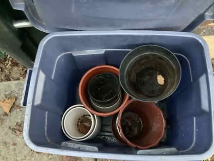 Photo of free Houseplant pots (Brightwood, Washington D) #2