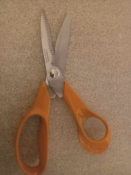 Photo of free Fiskars scissors has rust spots, for crafts? Or .. (Westbury Fields BS9) #1
