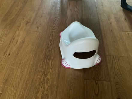 Photo of free Potty (Harrogate HG1) #2