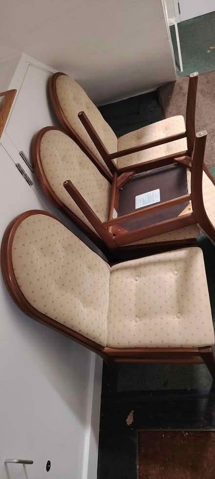 Photo of free Dining chairs (Lower Parkstone BH14) #4