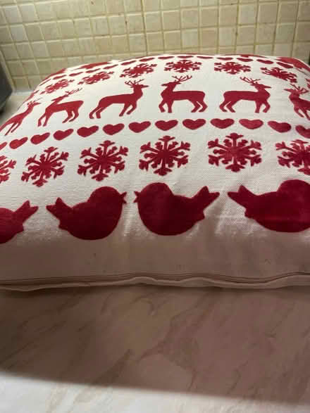 Photo of free Christmas cushion (Yarnton ox51nd) #2