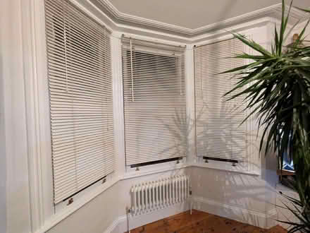 Photo of free Blinds (Aldrington BN3) #1
