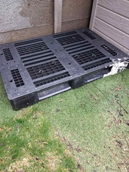 Photo of Plastic pallet (BN2) #2