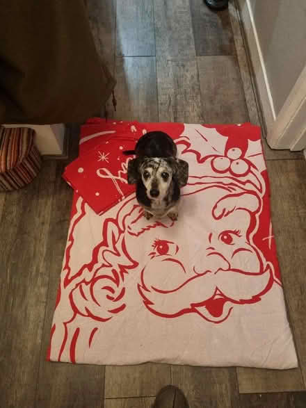 Photo of free King-size xmas duvet cover (Coldean BN1) #1