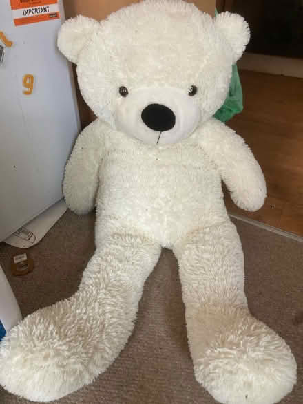 Photo of free Large soft toy (Southwater) #1