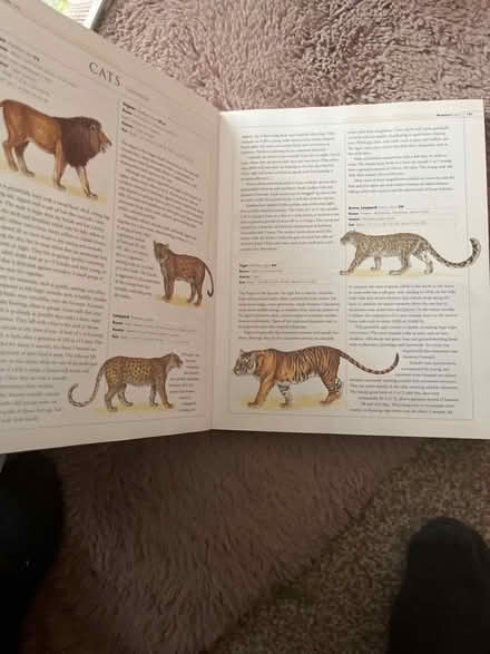 Photo of free Marshall illustrated encyclopaedia of animals (Buckley CH7) #3