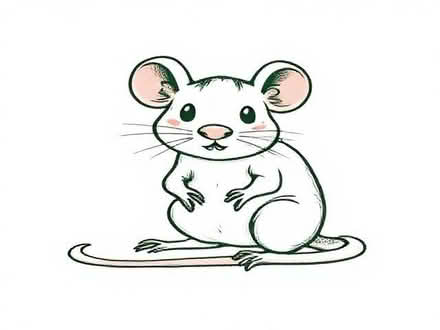 Photo of free dissection guides - the Rat (Haylands Way MK41) #1