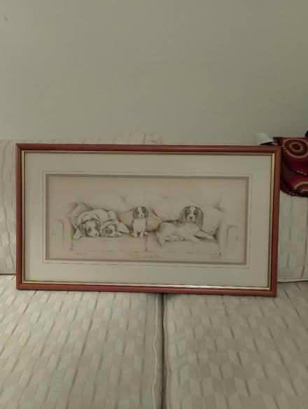 Photo of free Framed Cavalier King Charles Spaniel picture (Harrogate HG2) #1